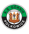 logo Górnik Polkowice